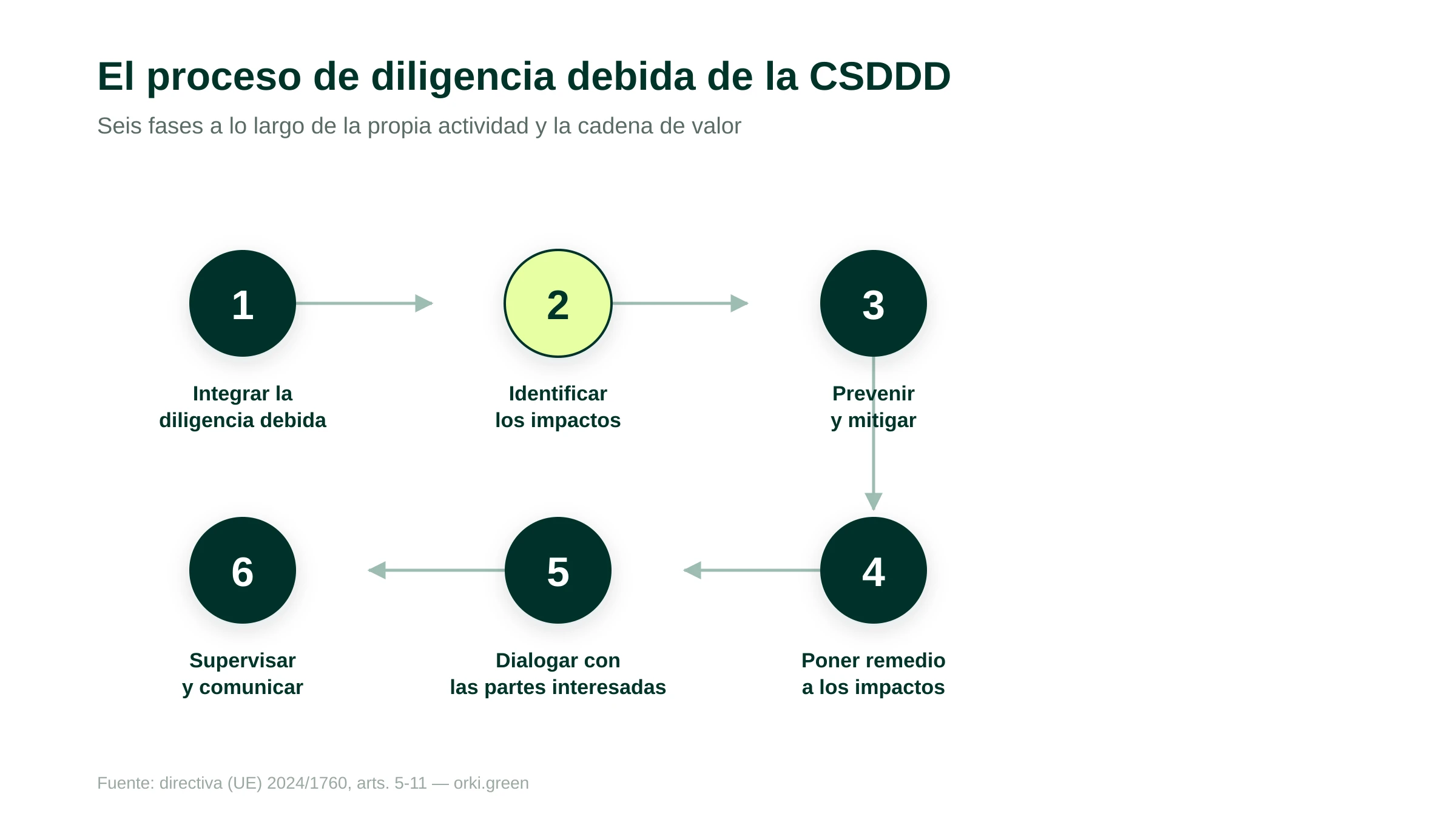 El proceso de diligencia debida de la CSDDD en seis fases a lo largo de la propia actividad y la cadena de valor