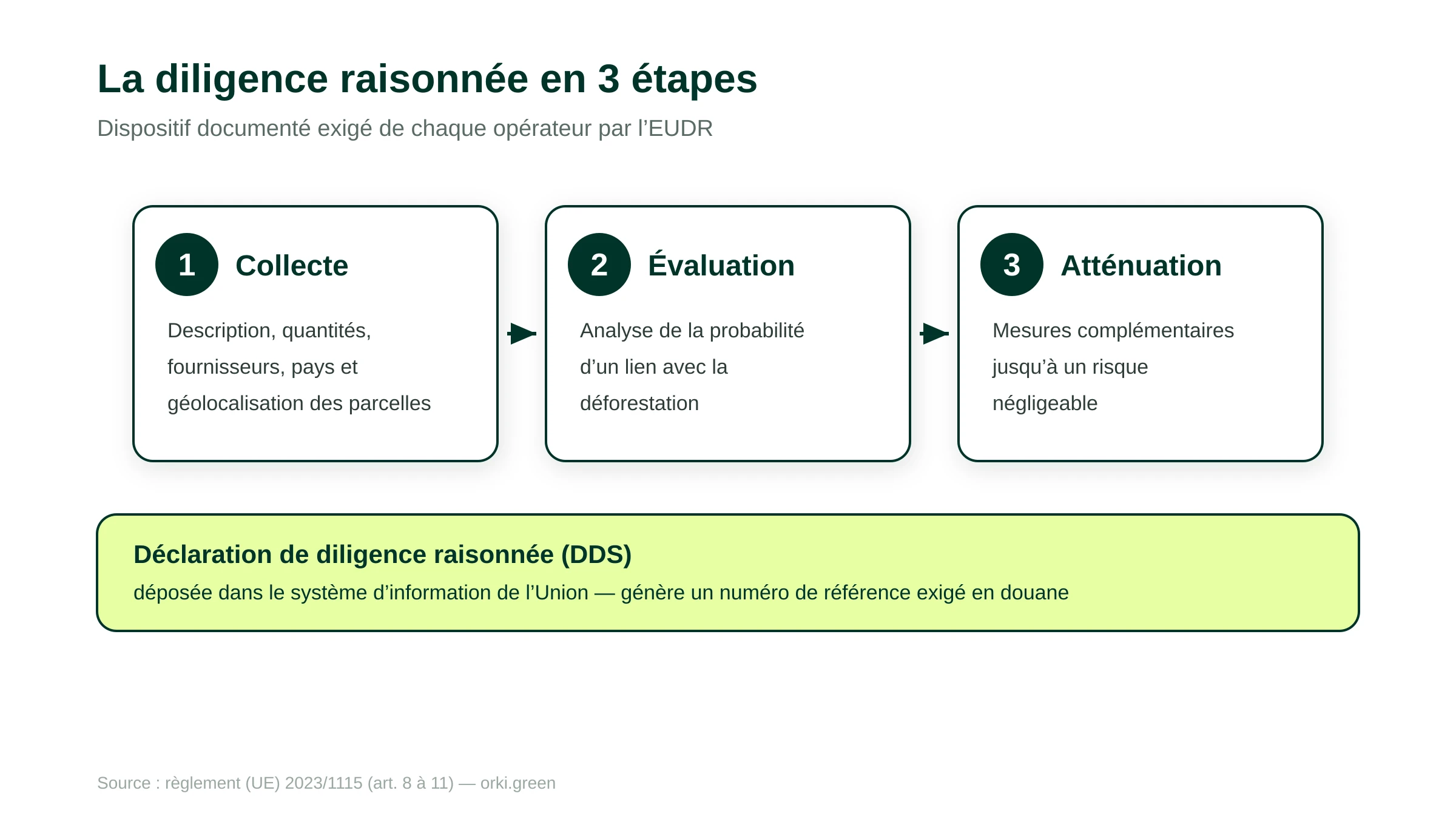 La diligence raisonnée du règlement EUDR en trois étapes. Étape 1, collecte d'informations : description des produits, quantités, fournisseurs, pays de production et géolocalisation des parcelles avec polygones au-delà de quatre hectares. Étape 2, évaluation des risques : analyse de la probabilité de lien avec la déforestation. Étape 3, atténuation des risques : mesures complémentaires jusqu'à un risque négligeable. Le tout aboutit à une déclaration de diligence raisonnée déposée dans le système d'information de l'Union.