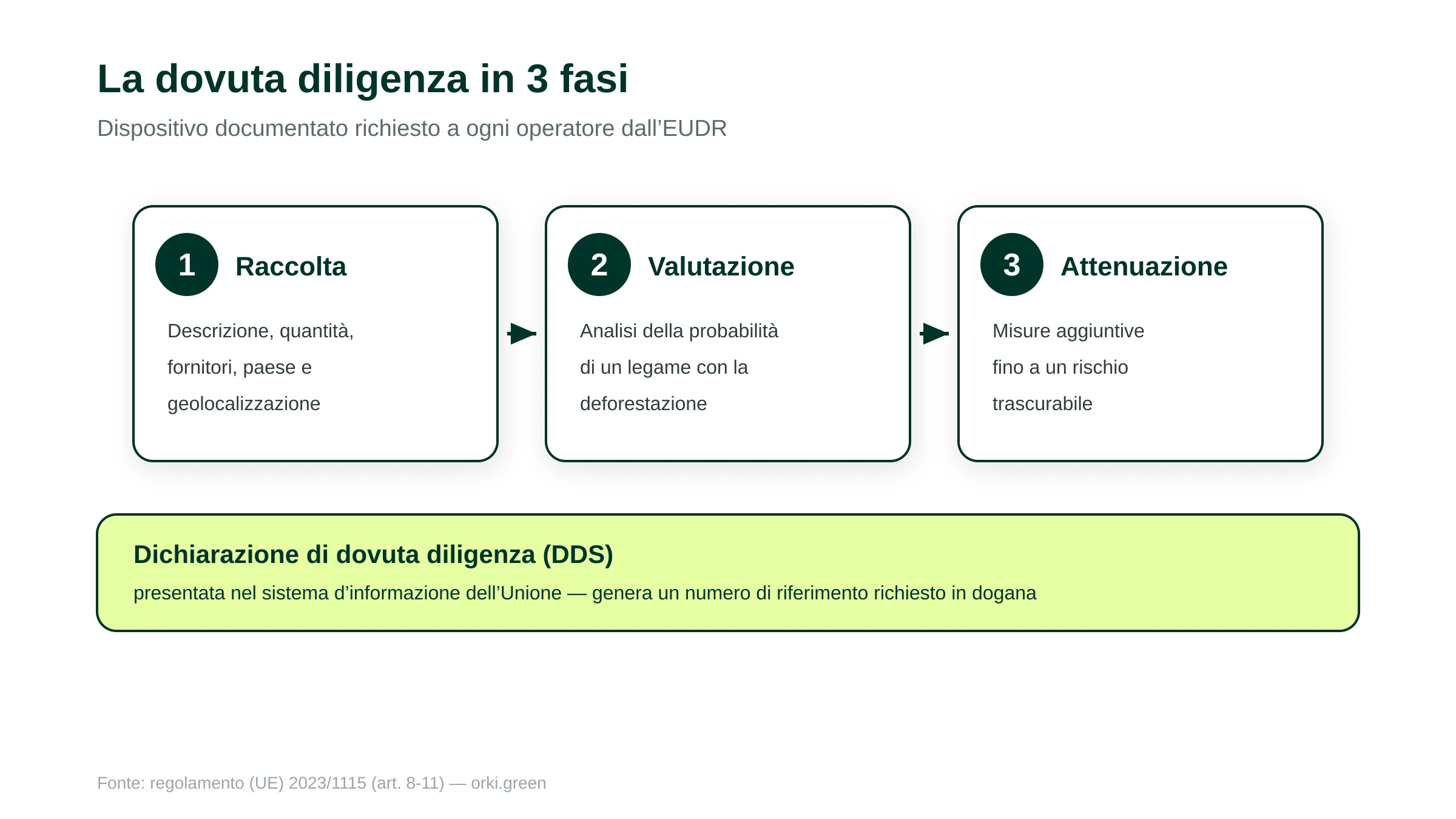 La dovuta diligenza del regolamento EUDR in tre fasi. Fase 1, raccolta delle informazioni: descrizione dei prodotti, quantità, fornitori, paese di produzione e geolocalizzazione degli appezzamenti con poligoni oltre i quattro ettari. Fase 2, valutazione del rischio: analisi della probabilità di collegamento con la deforestazione. Fase 3, attenuazione del rischio: misure aggiuntive fino a un rischio trascurabile. Il percorso si conclude con una dichiarazione di dovuta diligenza presentata nel sistema d'informazione dell'Unione.